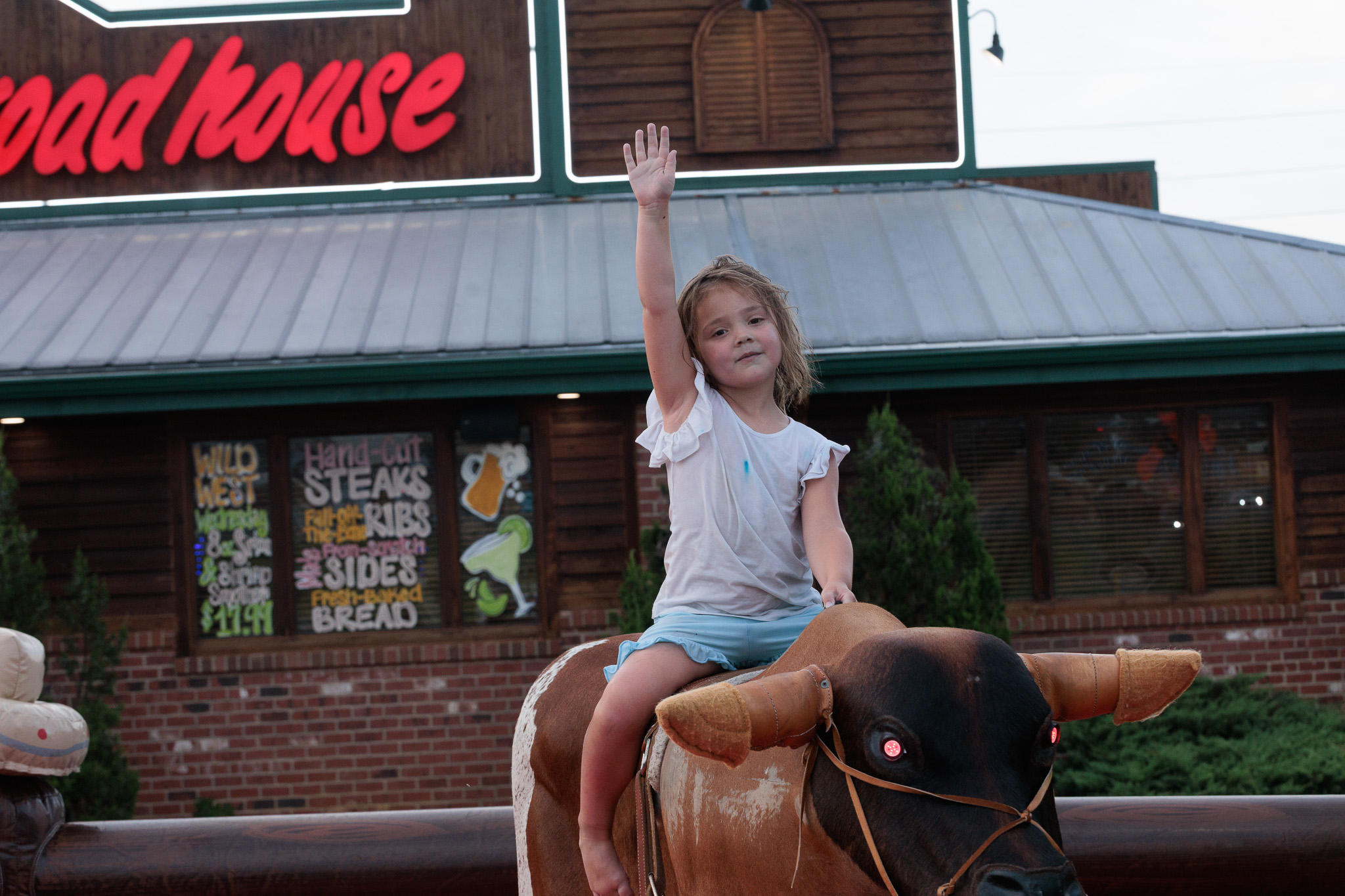 Mechanical Bull